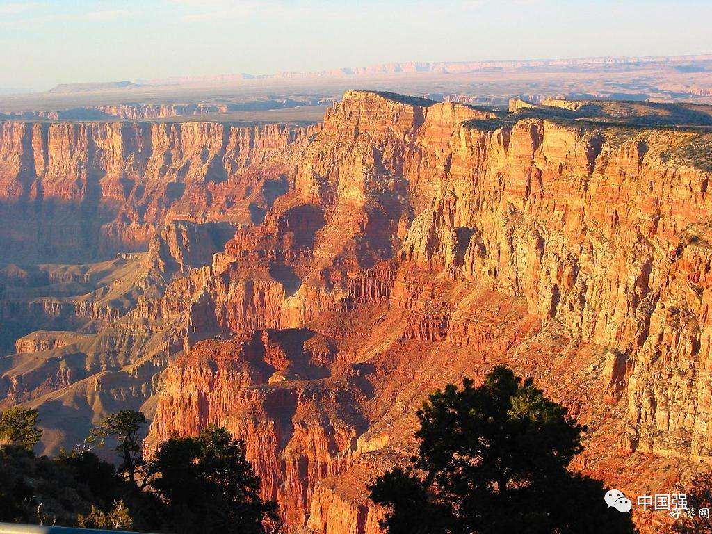 伴随着狂野奢华，用不一样的视角打开动物天堂