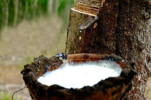 棉拖鞋界的爱马仕,拖鞋中的爱马仕网红拖鞋评测