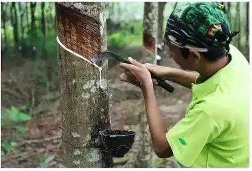 棉拖鞋界的爱马仕,拖鞋中的爱马仕网红拖鞋评测