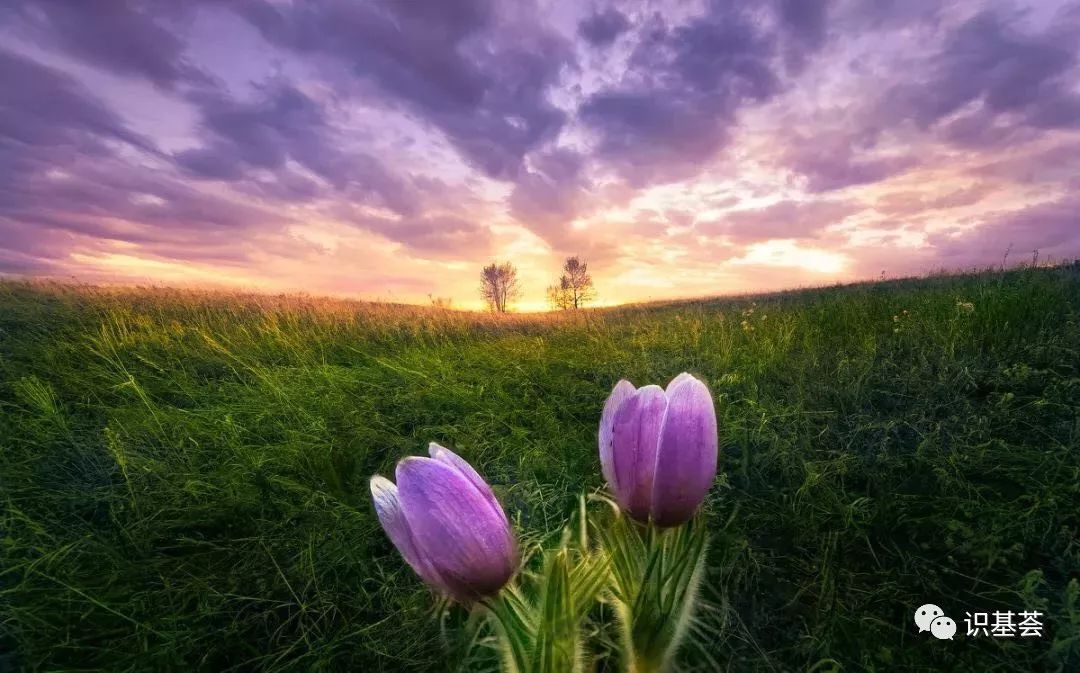 一季报行业,一季报业绩增长行业