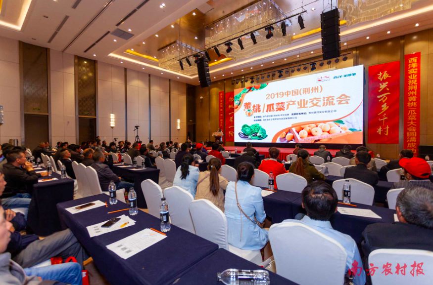 黄桃病虫害的图片及防治方法,黄桃无公害优质丰产栽培管理技术