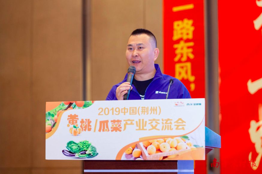 黄桃病虫害的图片及防治方法,黄桃无公害优质丰产栽培管理技术