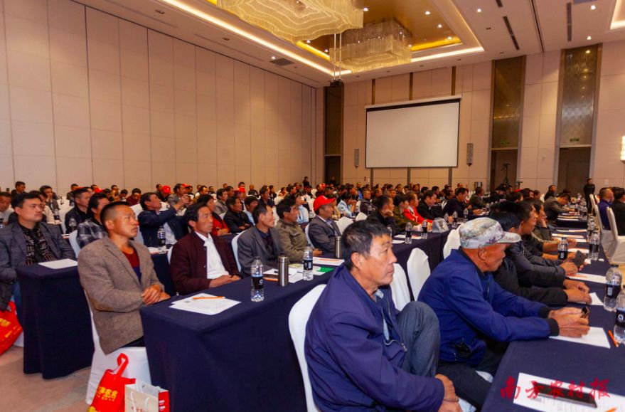 黄桃病虫害的图片及防治方法,黄桃无公害优质丰产栽培管理技术