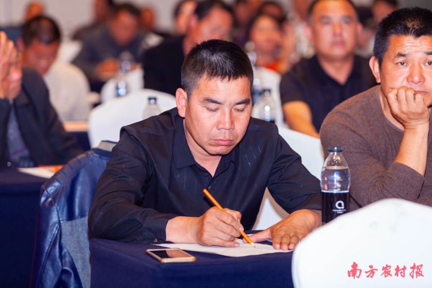 黄桃病虫害的图片及防治方法,黄桃无公害优质丰产栽培管理技术