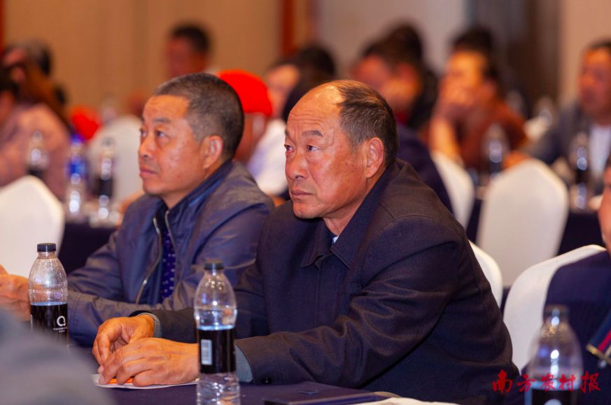 黄桃病虫害的图片及防治方法,黄桃无公害优质丰产栽培管理技术