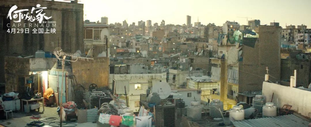 何以为家赞恩想要什么,何以为家赞恩