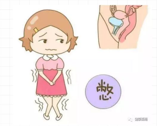 女性尿道口生理科普知识大全,科普女性如厕知识