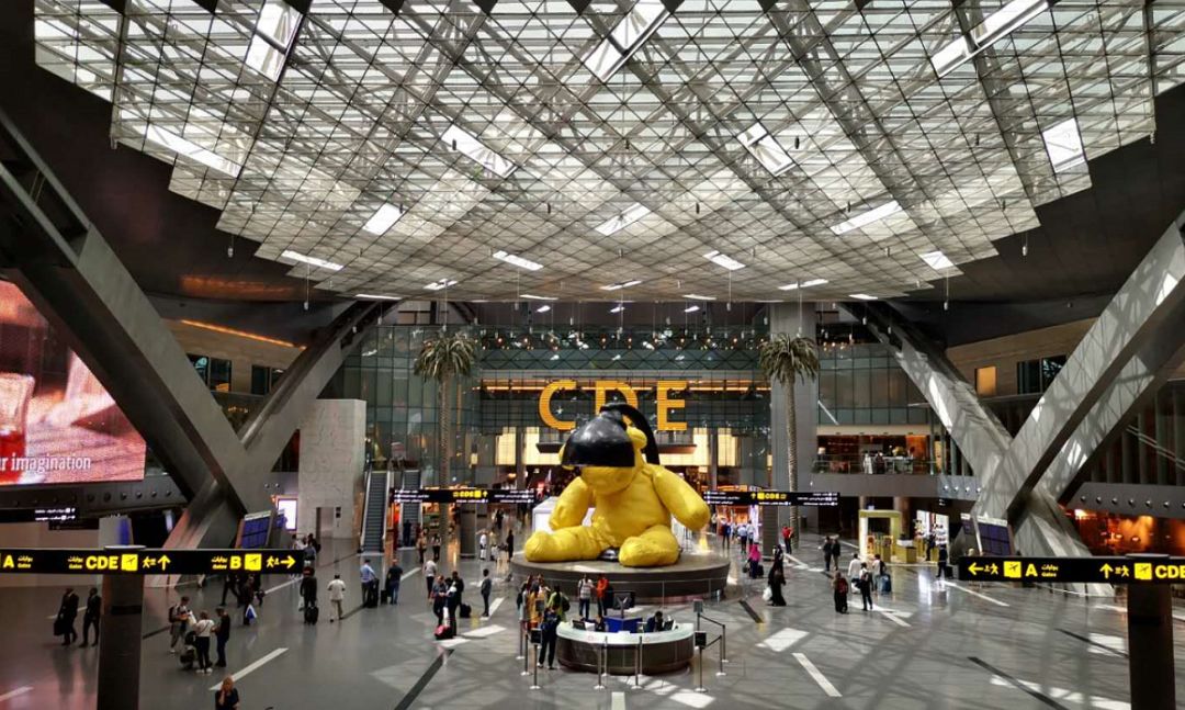 龙腾卡一般什么银行会发放,银行龙腾卡怎么用