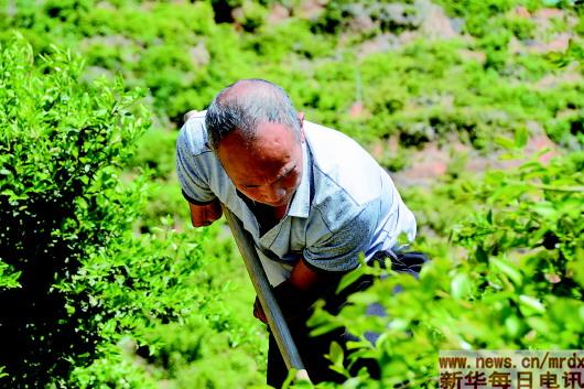 福建长汀绿水风景,福建长汀绿水青山前后对比