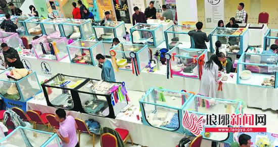 萌宠经济升温,萌宠消费带动千亿市场升级