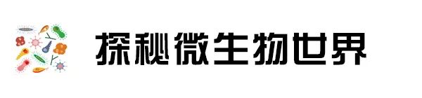 被咬伤感染狂犬病的概率,狂犬病和破伤风的表现有何不同