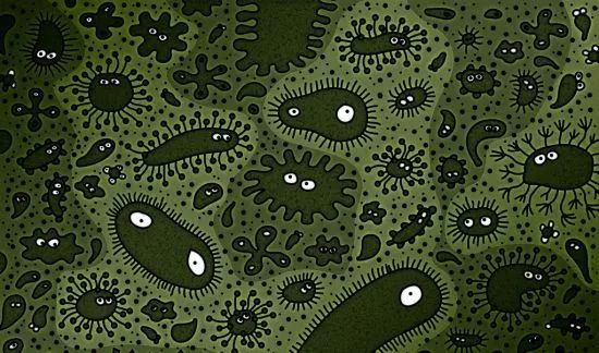 被咬伤感染狂犬病的概率,狂犬病和破伤风的表现有何不同