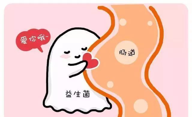 被咬伤感染狂犬病的概率,狂犬病和破伤风的表现有何不同