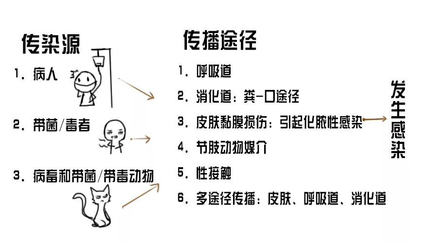 被咬伤感染狂犬病的概率,狂犬病和破伤风的表现有何不同