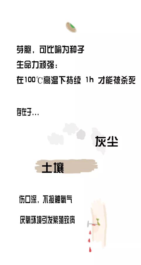 被咬伤感染狂犬病的概率,狂犬病和破伤风的表现有何不同