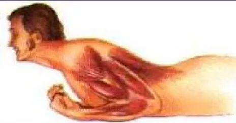 被咬伤感染狂犬病的概率,狂犬病和破伤风的表现有何不同