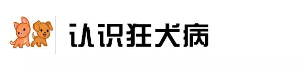 被咬伤感染狂犬病的概率,狂犬病和破伤风的表现有何不同