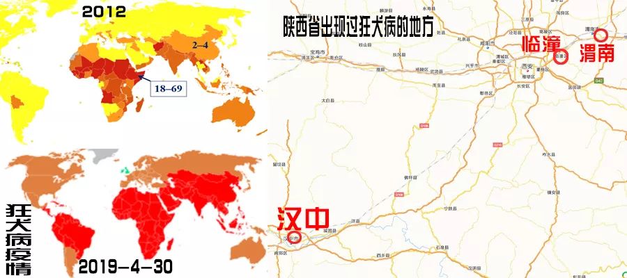 被咬伤感染狂犬病的概率,狂犬病和破伤风的表现有何不同