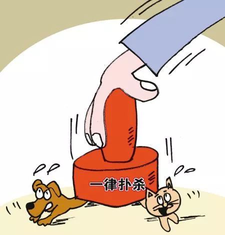 被咬伤感染狂犬病的概率,狂犬病和破伤风的表现有何不同