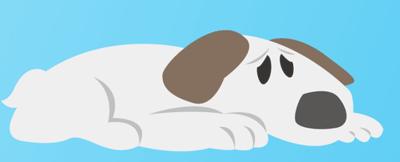 被咬伤感染狂犬病的概率,狂犬病和破伤风的表现有何不同