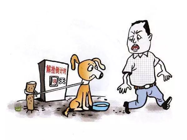 被咬伤感染狂犬病的概率,狂犬病和破伤风的表现有何不同