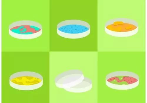 被咬伤感染狂犬病的概率,狂犬病和破伤风的表现有何不同