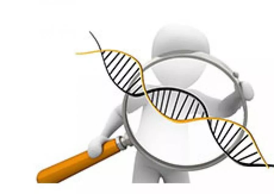 被咬伤感染狂犬病的概率,狂犬病和破伤风的表现有何不同