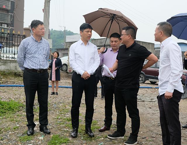 领导督查黑臭水体整治和零直排区,区领导检查推进黑臭水体治理工作