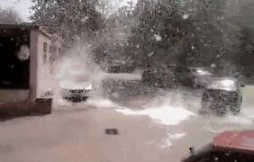 最近过半中国人都在噗噗噗呸呸，一开门，心里飘过一万头羊驼…