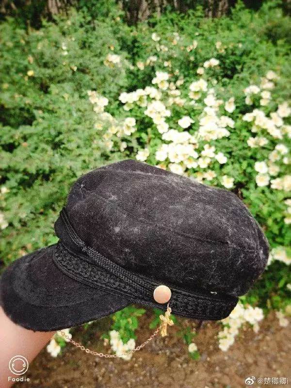 最近过半中国人都在噗噗噗呸呸，一开门，心里飘过一万头羊驼…