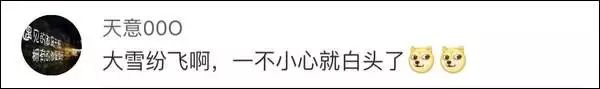 最近过半中国人都在噗噗噗呸呸，一开门，心里飘过一万头羊驼…