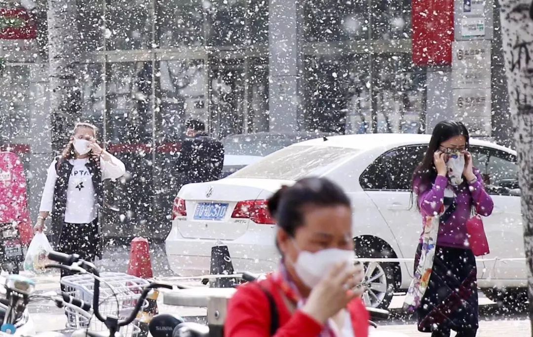 最近过半中国人都在噗噗噗呸呸，一开门，心里飘过一万头羊驼…