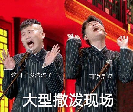 最近过半中国人都在噗噗噗呸呸，一开门，心里飘过一万头羊驼…