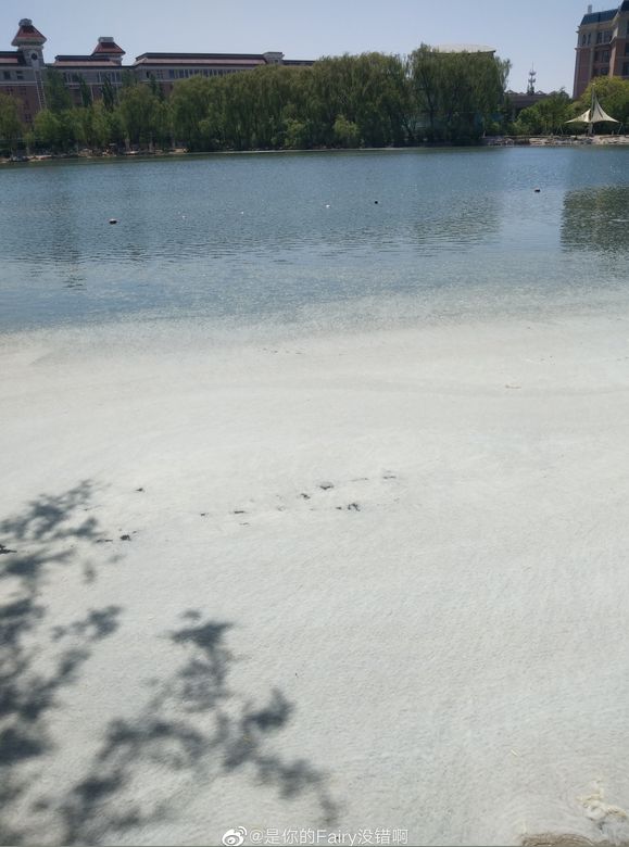 最近过半中国人都在噗噗噗呸呸，一开门，心里飘过一万头羊驼…