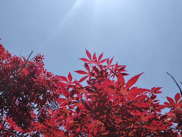 花果山和云龙涧哪个好玩,江苏连云港花果山和云龙涧推荐