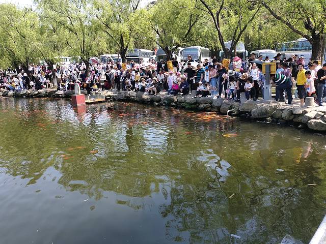 花果山和云龙涧哪个好玩,江苏连云港花果山和云龙涧推荐
