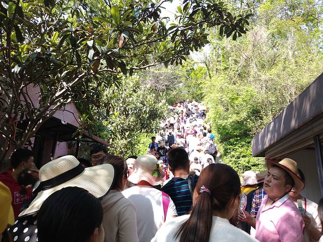 花果山和云龙涧哪个好玩,江苏连云港花果山和云龙涧推荐