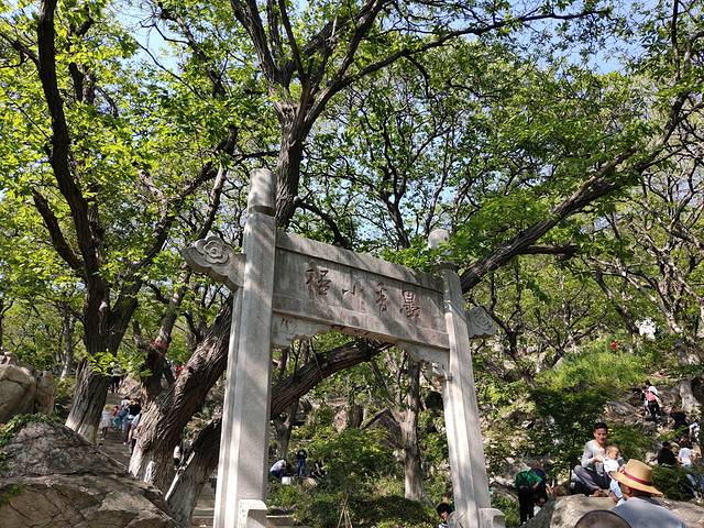 花果山和云龙涧哪个好玩,江苏连云港花果山和云龙涧推荐