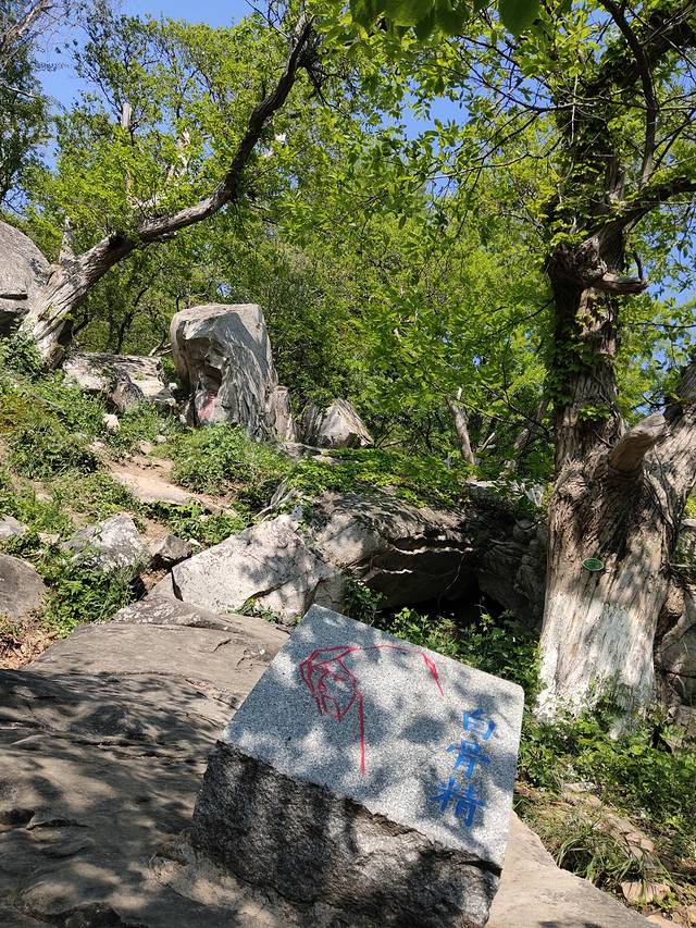 花果山和云龙涧哪个好玩,江苏连云港花果山和云龙涧推荐