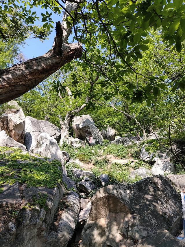 花果山和云龙涧哪个好玩,江苏连云港花果山和云龙涧推荐
