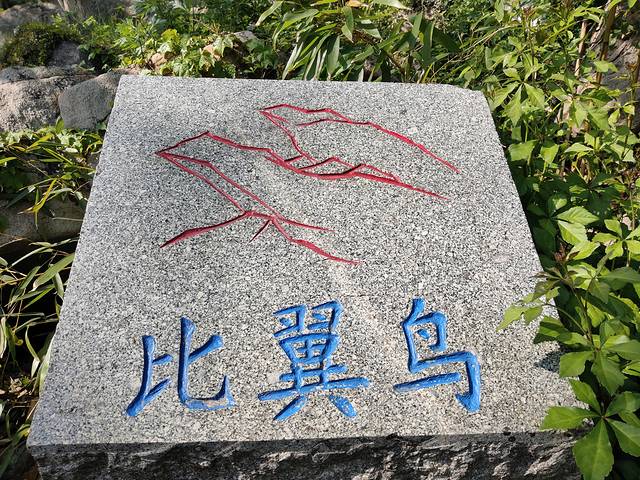 花果山和云龙涧哪个好玩,江苏连云港花果山和云龙涧推荐