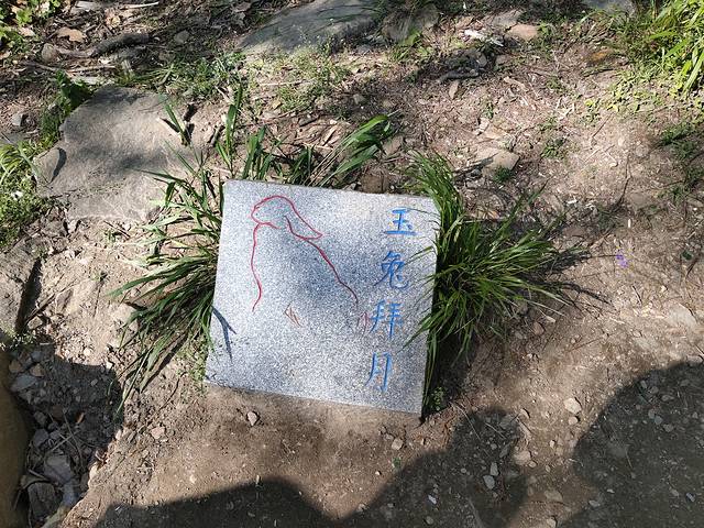 花果山和云龙涧哪个好玩,江苏连云港花果山和云龙涧推荐