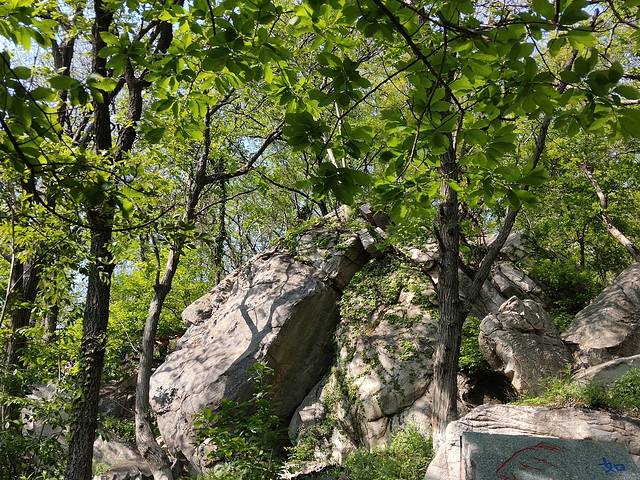 花果山和云龙涧哪个好玩,江苏连云港花果山和云龙涧推荐