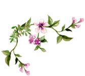 华美紫馨出席第二届“医美之都”高峰论坛共话行业发展