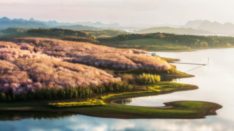 5.19旅游日贵州免门票,贵州6.16到8.31免门票还是半价