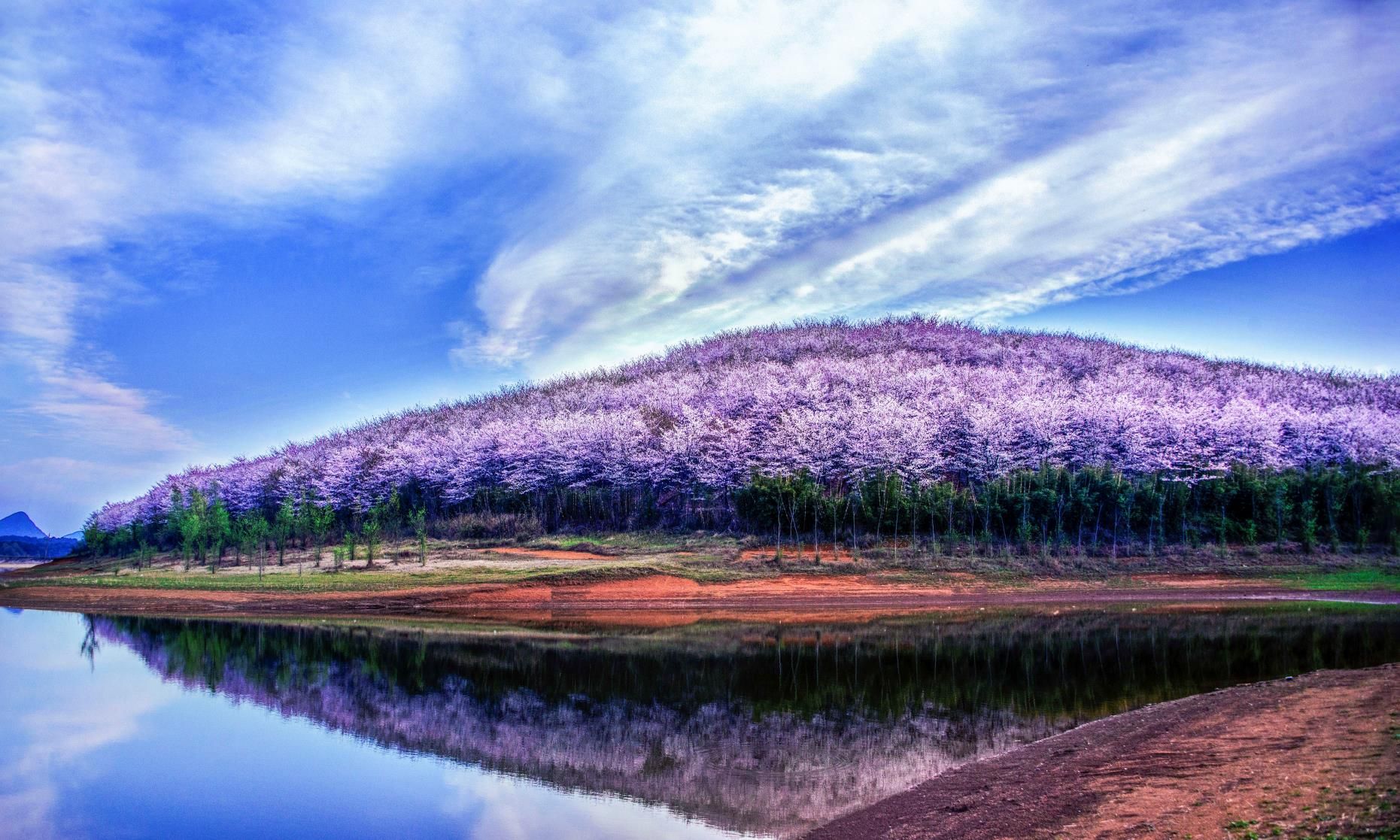 5.19旅游日贵州免门票,贵州6.16到8.31免门票还是半价