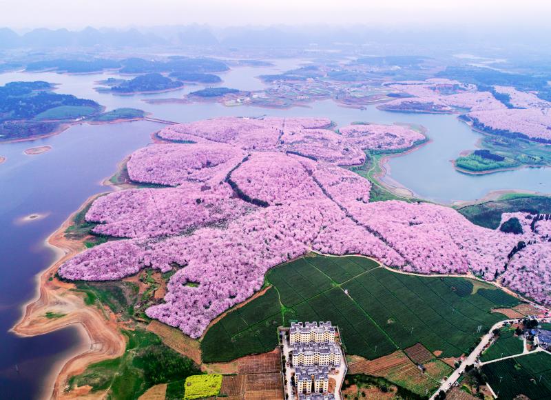 5.19旅游日贵州免门票,贵州6.16到8.31免门票还是半价