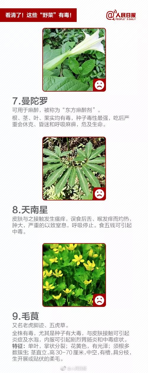 什么样芋头有毒不能吃,芋头吃了麻嘴有毒吗