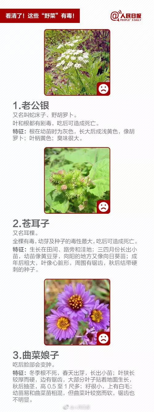 什么样芋头有毒不能吃,芋头吃了麻嘴有毒吗