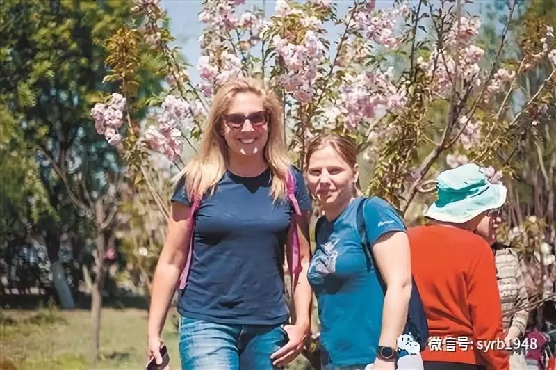 沈阳免费看樱花的景点,沈阳长白岛公园赏樱花